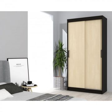 Dressing Euro 100x47x210cm wenge+mesteacan